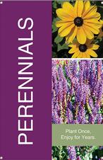 Perennials 24