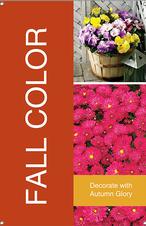 Fall Color 24x36 - Bold