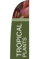 Tropical Plants Feather Flag-Bold