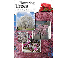 Flowering Trees 24