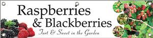 Raspberries & Blackberries 48