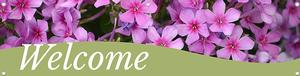 Welcome 47x12 - Swoop