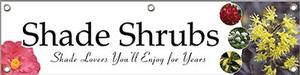 Shade Shrubs 47