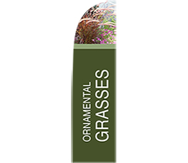 Ornamental-Grass Feather Flag-Bold