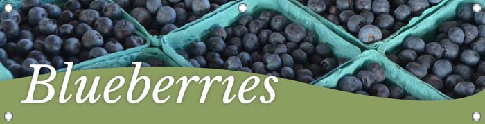 Blueberries 47x12 - Swoop