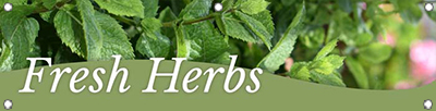 Fresh Herbs 47