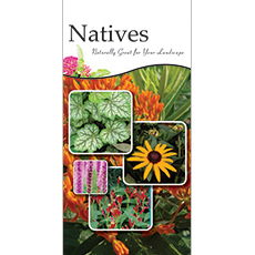 Natives 18x36 - Bold