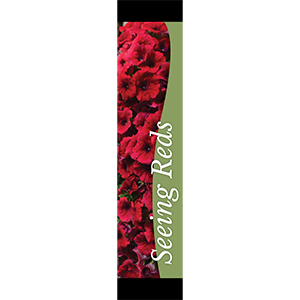 Seeing Reds 12x55 - Swoop