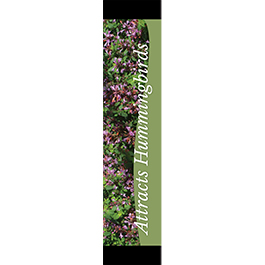 Attracts Hummingbirds 12x55 - Swoop