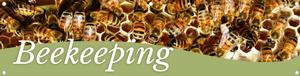 Beekeeping 47x12 - Swoop