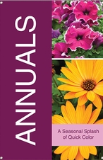 Annuals 24x36 - Bold