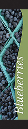 Blueberries 12x55 - Swoop