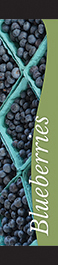 Blueberries 12