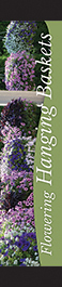 Flowering Hanging Baskes 12x55 - Swoop