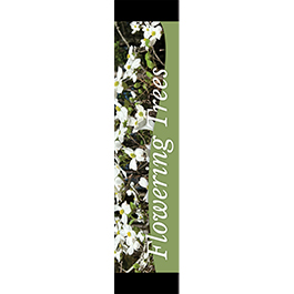 Flowering Trees 12x55 - Swoop