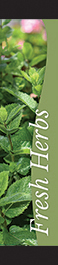 Fresh Herbs 12x55 - Swoop