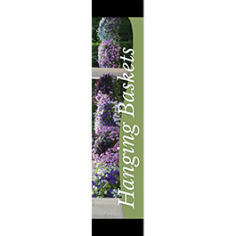 Hanging Baskets 12