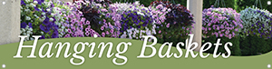 Hanging Baskets 47