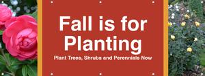 Fall is for Planting 8ft x 3ft - Bold