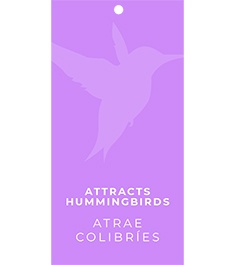 Attracts Hummingbirds Hang Tags