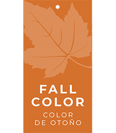Fall Color Hang Tags