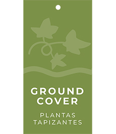 Ground Cover Hang Tags
