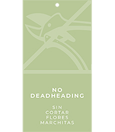 No Deadheading Hang Tags