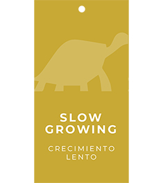 Slow Growing Hang Tags