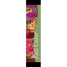 Fall Color Snapdragons 12x55 - Swoop