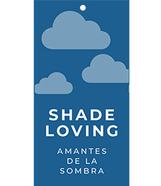 Shade Loving Hang Tags