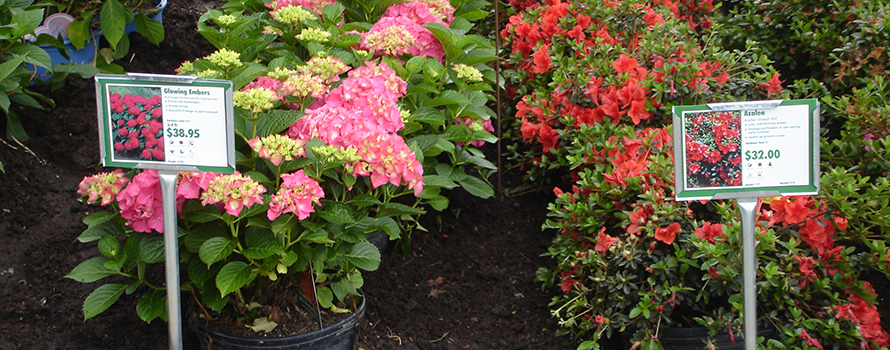 Garden Center Marketing Helping You Sell More Plants
