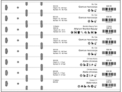 Black and White Strip Tag