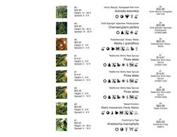 Strip Tag w/ Color Image and Text