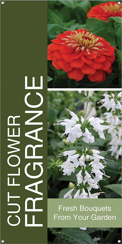 Cut Flower/Fragrance 18