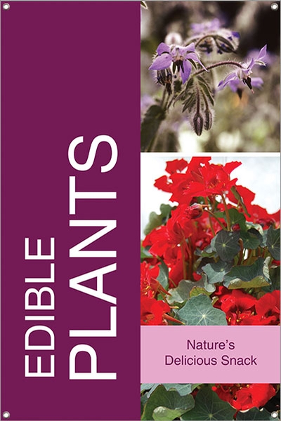Edible Plants 24