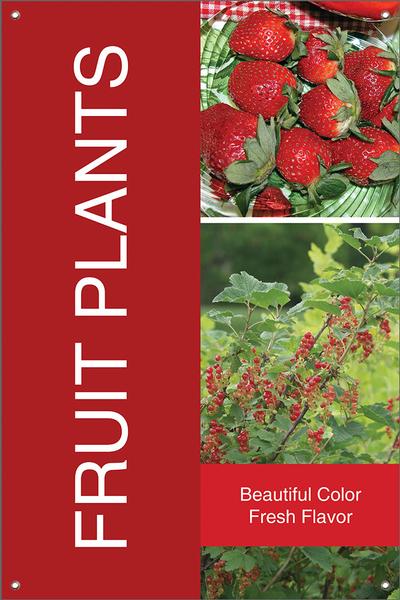 Fruit Plants 24