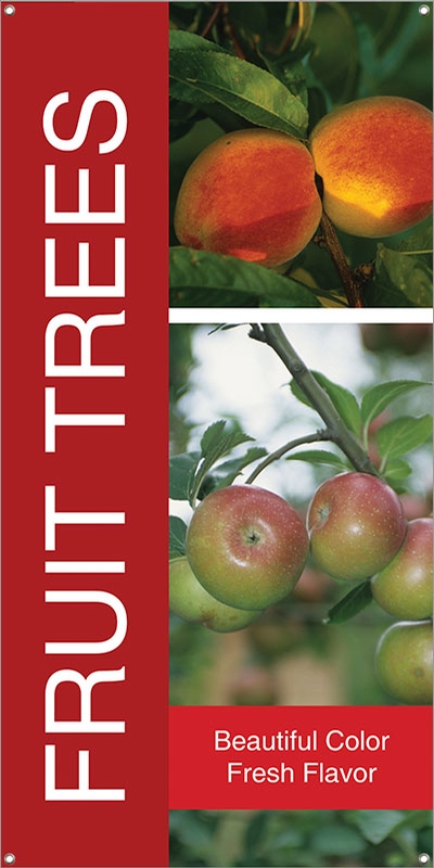 Fruit Trees 18