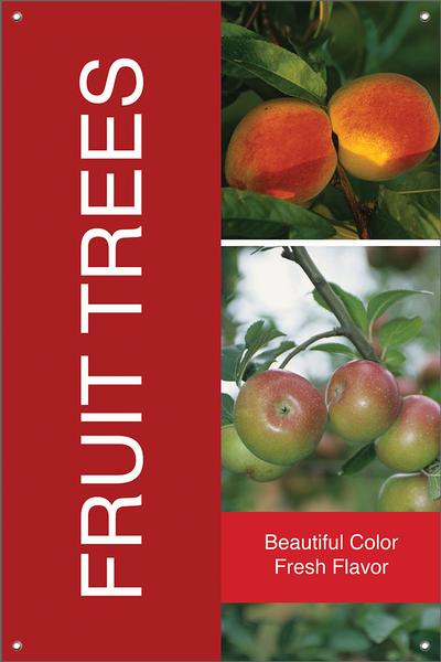Fruit Trees 24
