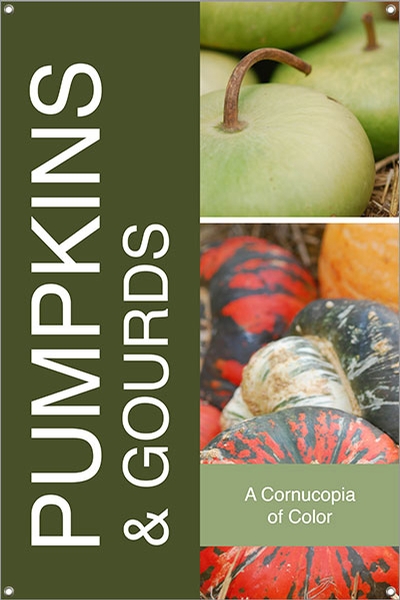Pumpkins & Gourds 24