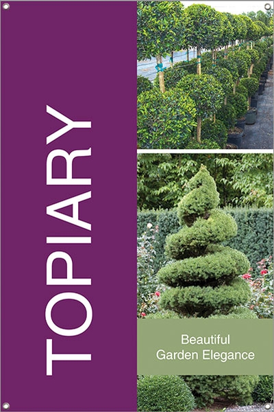 Topiary 24