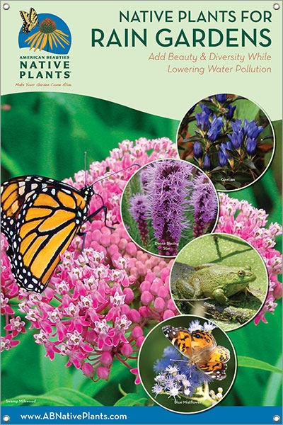 Native Plants for Rain Gardens-MIDWEST/E. GREAT PLAINS 24