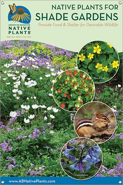 Native Plants for Shade Gardens-MIDWEST/E. GREAT PLAINS 24