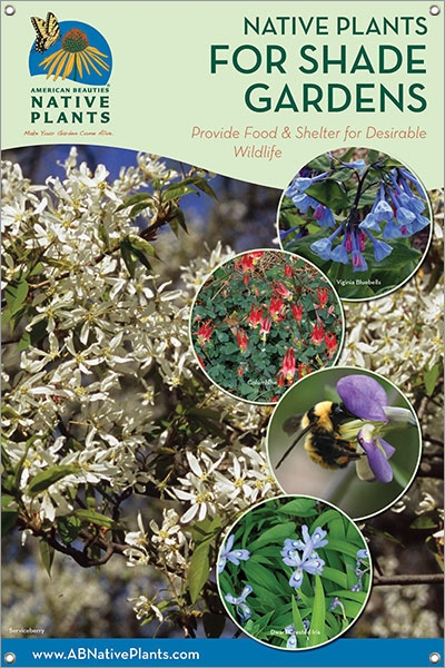 Native Plants for Shade Gardens-NEW ENGLAND 24