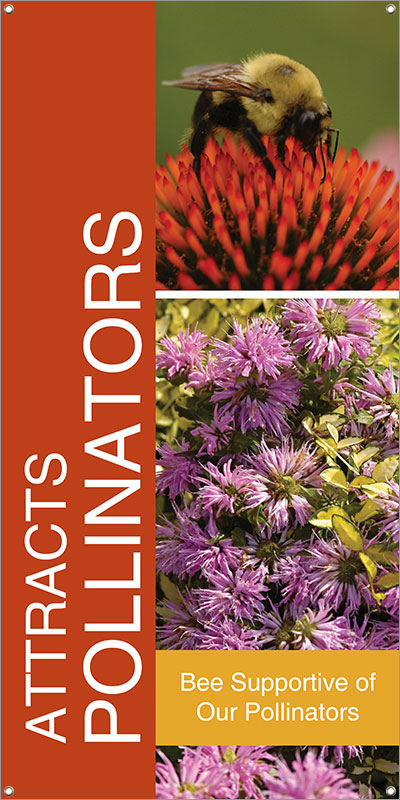 Attracts Pollinators 18