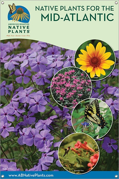 Native Plants for the Mid-Atlantic 24