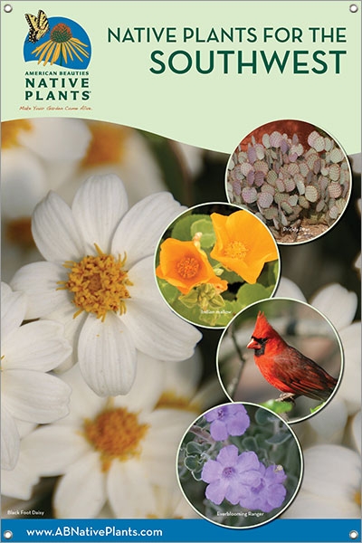 Native Plants for the Southwest 24