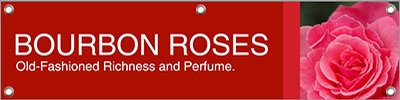 Roses Bourbon 47