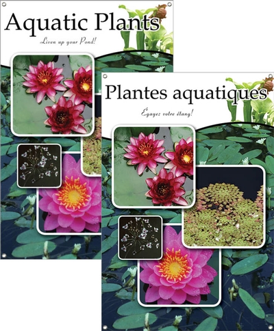 Aquatic Plants/Plantes aquatiques 24