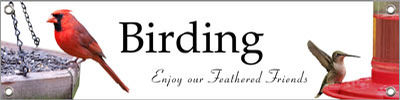 Birding 48