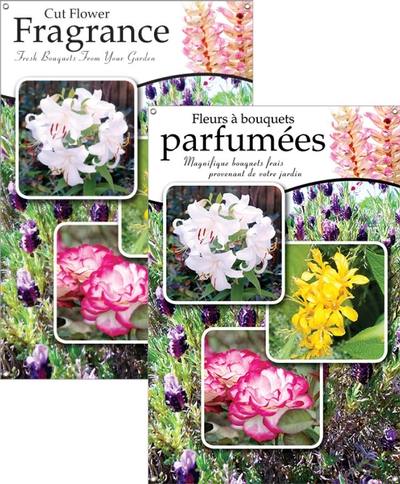 Cut Flower Fragrance/Fleurs à bouquets parfumées 24